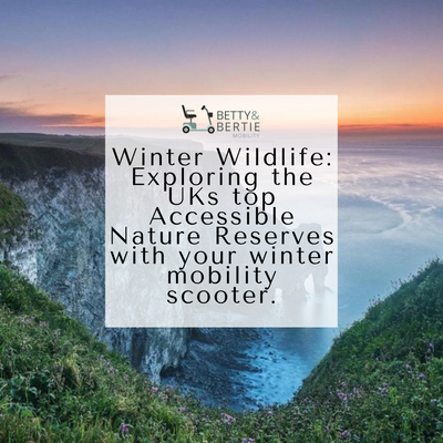 Winter Wildlife: Exploring the UKs top Accessible Nature Reserves with your winter mobility scooter.