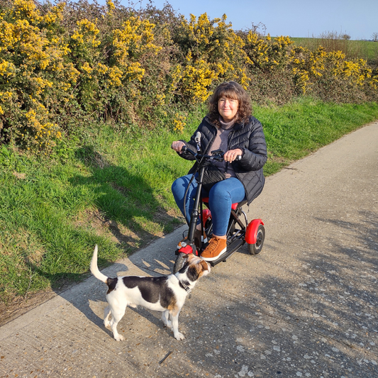 Ex-Demo Mobility Scooters