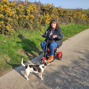 LUPIN - The Easy Folding Mobility Scooter